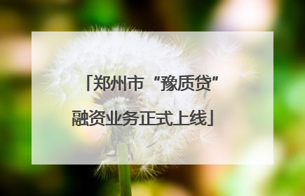 郑州市“豫质贷”融资业务正式上线