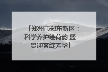 郑州市郑东新区：科学养护绘荷韵 盛景迎客绽芳华
