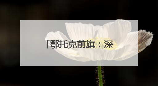 鄂托克前旗：深化“四省多县”区域协作 共绘劳务和人才发展蓝图