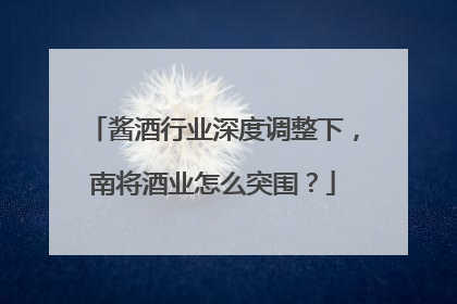 酱酒行业深度调整下，南将酒业怎么突围？