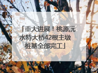 重大进展！桃源沅水特大桥42根主墩桩基全部完工