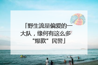 野生流量偏爱的一大队，缘何有这么多“爆款”民警