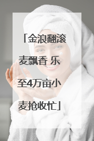 金浪翻滚麦飘香 乐至4万亩小麦抢收忙