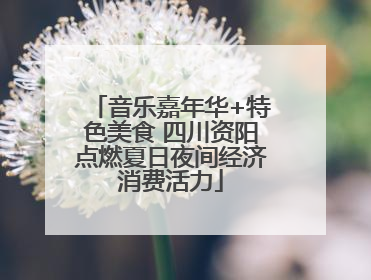 音乐嘉年华+特色美食 四川资阳点燃夏日夜间经济消费活力