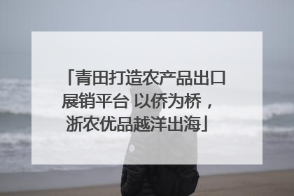 青田打造农产品出口展销平台 以侨为桥，浙农优品越洋出海