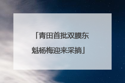 青田首批双膜东魁杨梅迎来采摘