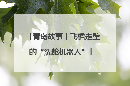 青岛故事丨飞檐走壁的“洗舱机器人”