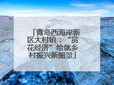 青岛西海岸新区大村镇：“赏花经济”绘就乡村振兴新图景