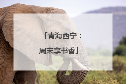 青海西宁：周末享书香