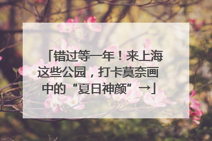 错过等一年！来上海这些公园，打卡莫奈画中的“夏日神颜”→