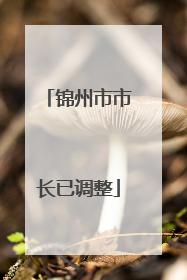 锦州市市长已调整