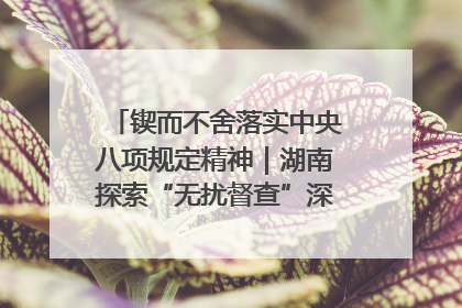 锲而不舍落实中央八项规定精神｜湖南探索“无扰督查”深化基层减负