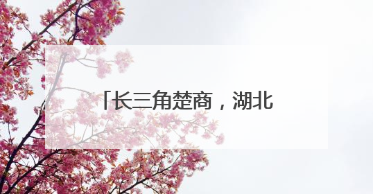 长三角楚商，湖北喊你回家乡投资！