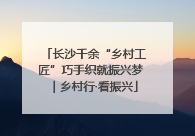 长沙千余“乡村工匠”巧手织就振兴梦｜乡村行·看振兴