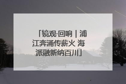 镜观·回响｜浦江奔涌传薪火 海派融新纳百川