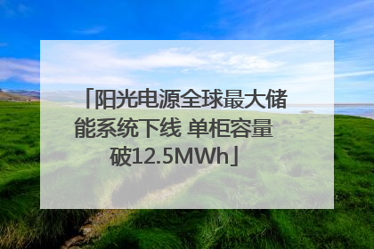 阳光电源全球最大储能系统下线 单柜容量破12.5MWh