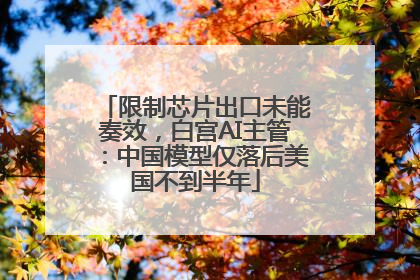 限制芯片出口未能奏效，白宫AI主管：中国模型仅落后美国不到半年