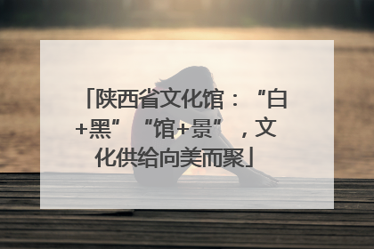 陕西省文化馆：“白+黑”“馆+景”，文化供给向美而聚
