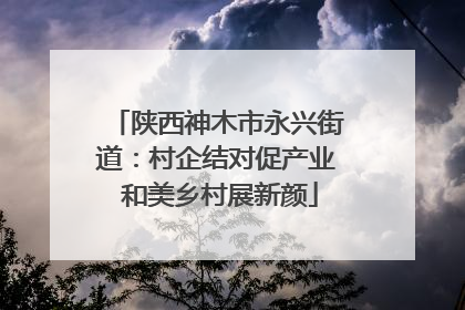 陕西神木市永兴街道：村企结对促产业 和美乡村展新颜