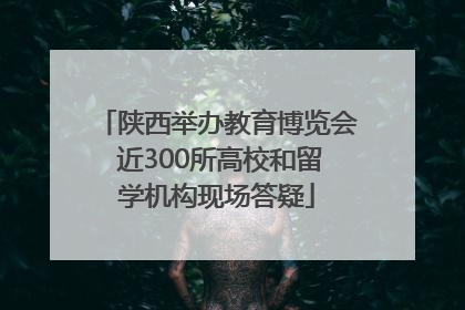 陕西举办教育博览会 近300所高校和留学机构现场答疑