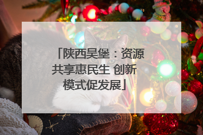 陕西吴堡：资源共享惠民生 创新模式促发展