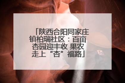 陕西合阳同家庄镇柏瑞社区：百亩杏园迎丰收 果农走上“杏”福路