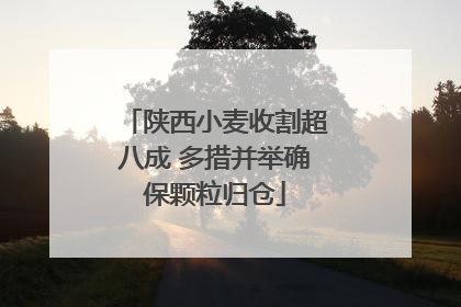 陕西小麦收割超八成 多措并举确保颗粒归仓