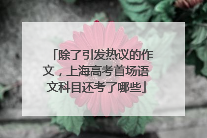 除了引发热议的作文，上海高考首场语文科目还考了哪些