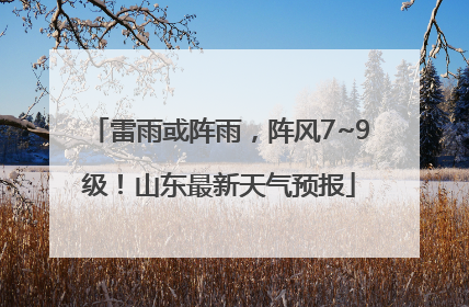 雷雨或阵雨，阵风7~9级！山东最新天气预报