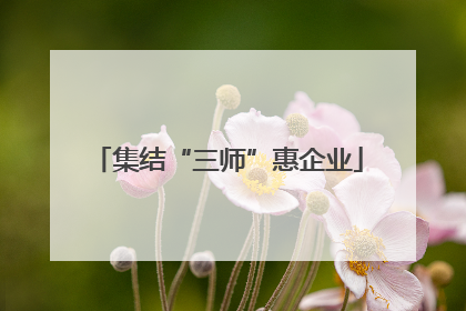 集结“三师”惠企业