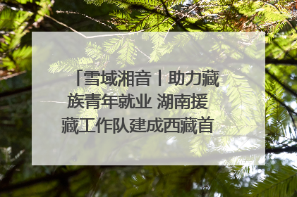雪域湘音丨助力藏族青年就业 湖南援藏工作队建成西藏首个清洁能源装备园