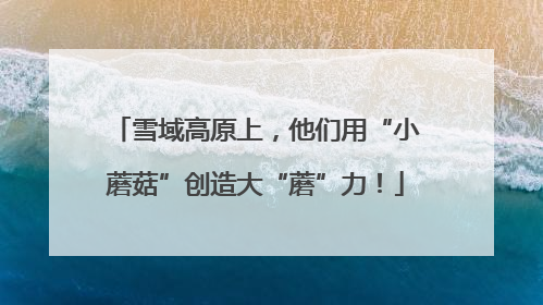 雪域高原上，他们用“小蘑菇”创造大“蘑”力！