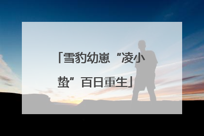雪豹幼崽“凌小蛰”百日重生