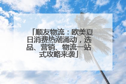 顺友物流：欧美夏日消费热潮涌动，选品、营销、物流一站式攻略来袭