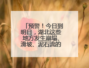 预警！今日到明日，湖北这些地方发生崩塌、滑坡、泥石流的风险较高
