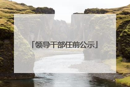 领导干部任前公示