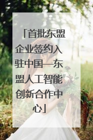 首批东盟企业签约入驻中国—东盟人工智能创新合作中心