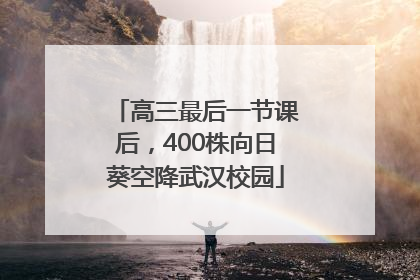 高三最后一节课后，400株向日葵空降武汉校园
