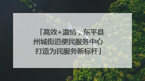 高效+温情，东平县州城街道便民服务中心打造为民服务新标杆
