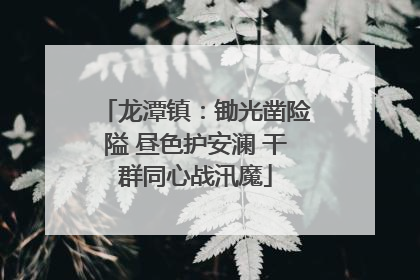 龙潭镇：锄光凿险隘 昼色护安澜 干群同心战汛魔