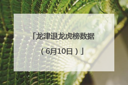 龙津退龙虎榜数据（6月10日）
