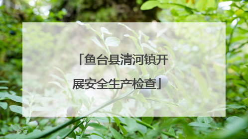 鱼台县清河镇开展安全生产检查