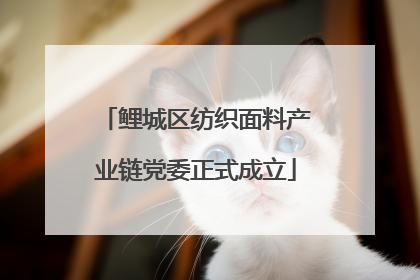 鲤城区纺织面料产业链党委正式成立