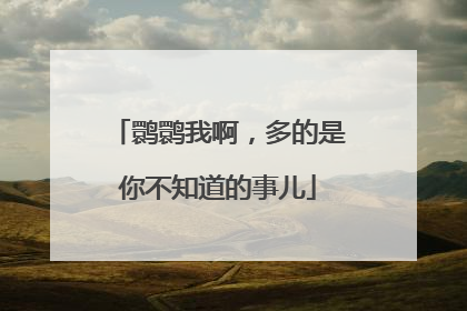 鹮鹮我啊，多的是你不知道的事儿