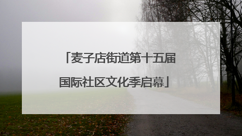 麦子店街道第十五届国际社区文化季启幕