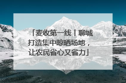 麦收第一线丨聊城打造集中晾晒场地，让农民省心又省力