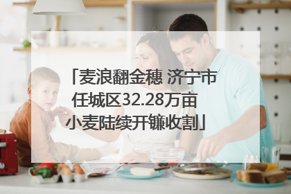 麦浪翻金穗 济宁市任城区32.28万亩小麦陆续开镰收割