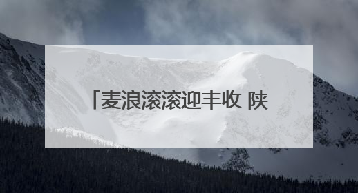 麦浪滚滚迎丰收 陕西麦收进度过七成
