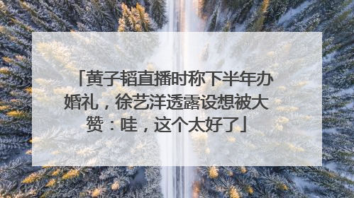 黄子韬直播时称下半年办婚礼，徐艺洋透露设想被大赞：哇，这个太好了