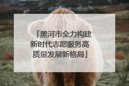 黑河市全力构建新时代志愿服务高质量发展新格局